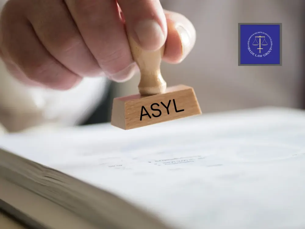 How Long Do Asylum Cases Take in Brookline, Massachusetts?